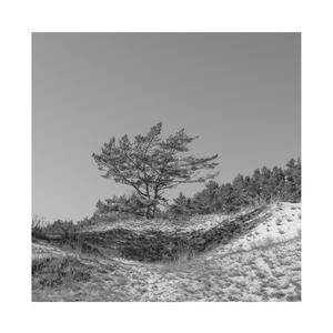 内谢中国老婆的出处和背景
